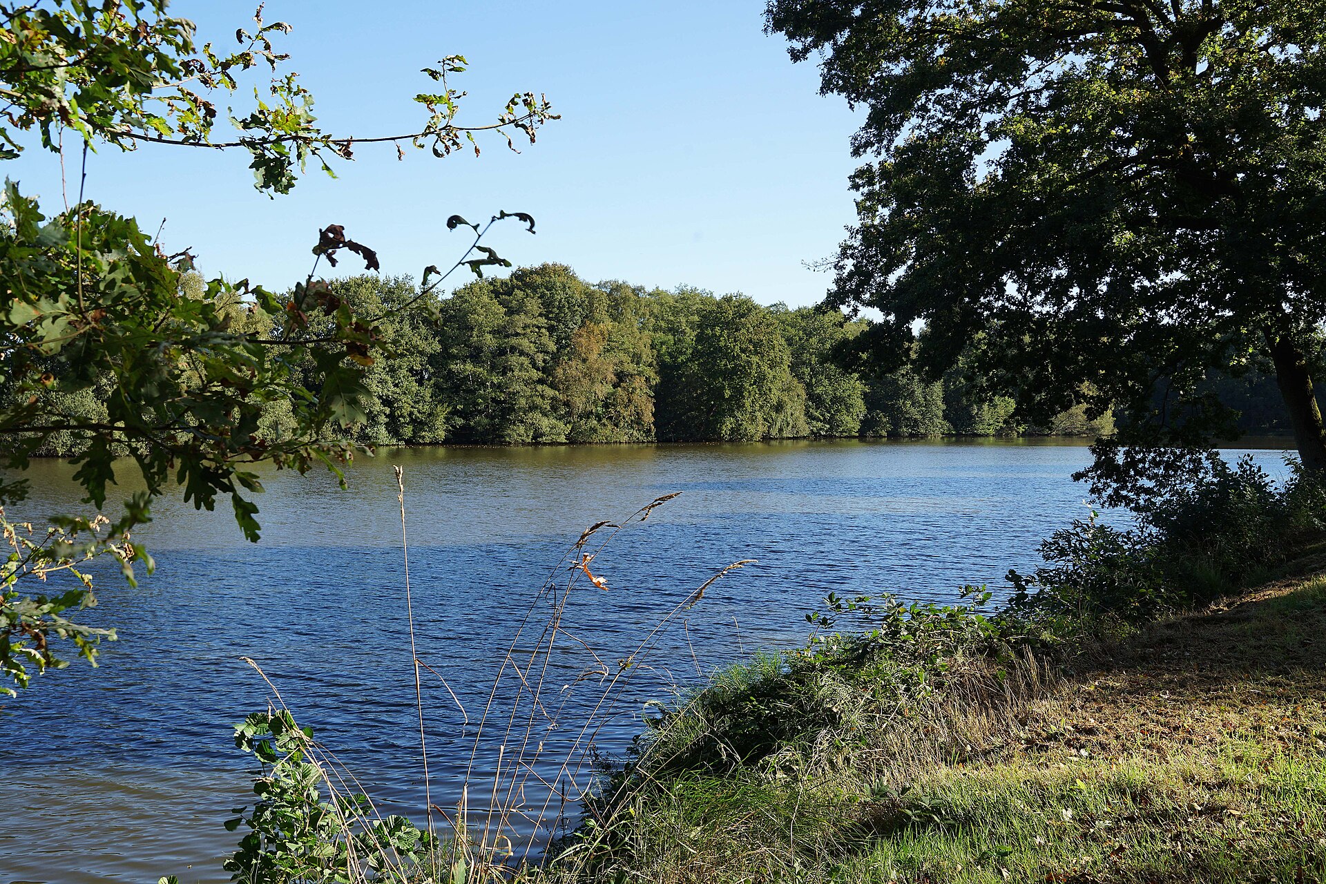 Barger Meer in Detern